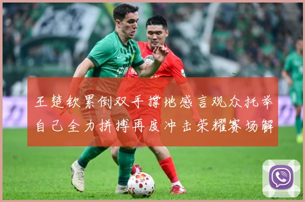 王楚钦累倒双手撑地感言观众托举自己全力拼搏再度冲击荣耀赛场解读-深度解析