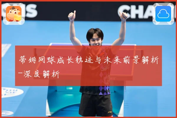 蒂姆网球成长轨迹与未来前景解析-深度解析