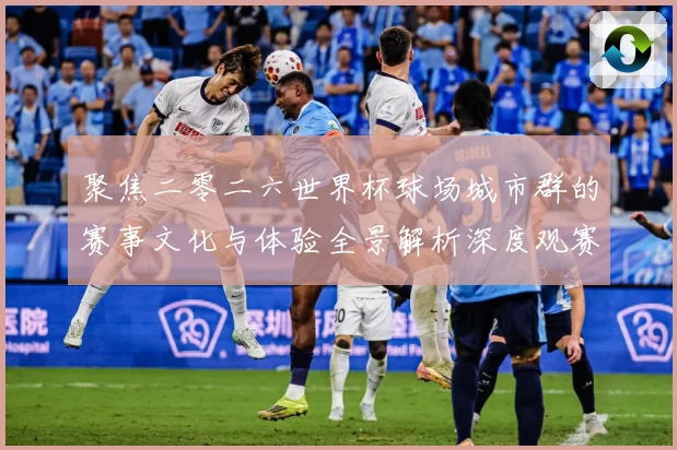 聚焦二零二六世界杯球场城市群的赛事文化与体验全景解析深度观赛事前瞻-深度解析