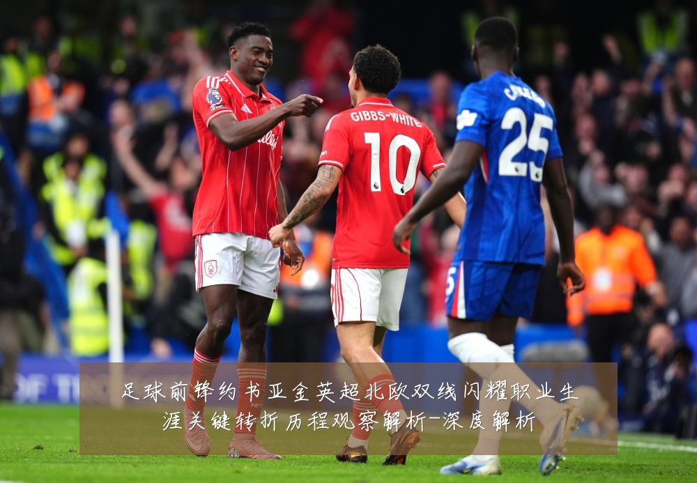 足球前锋约书亚金英超北欧双线闪耀职业生涯关键转折历程观察解析-深度解析