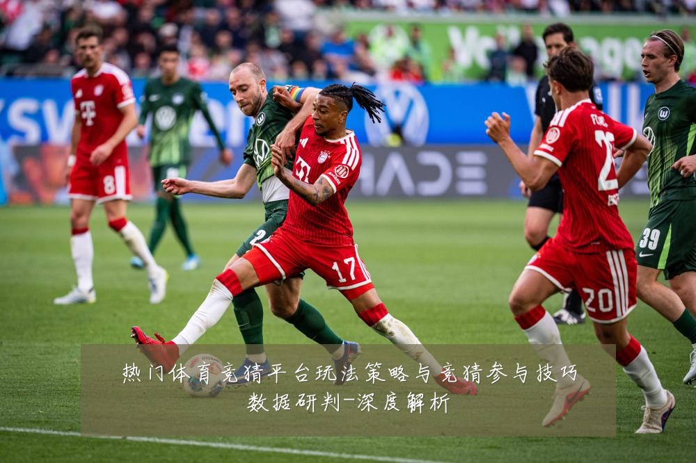 热门体育竞猜平台玩法策略与竞猜参与技巧数据研判-深度解析